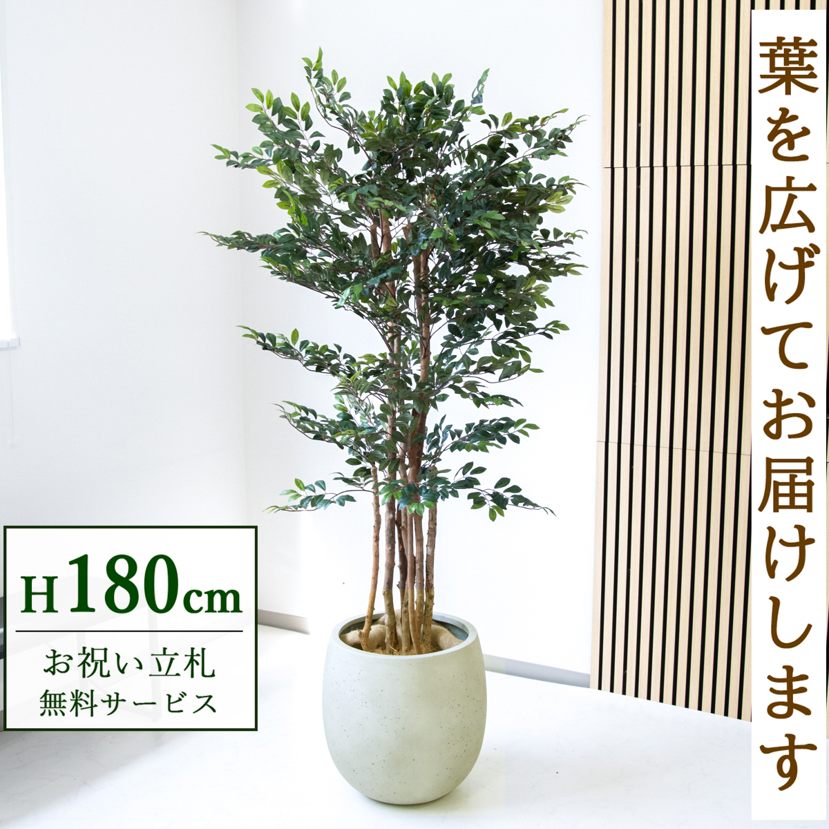 【すぐ飾れる】 フェイクグリーン トネリコツリー 180cm  大型 鉢付き / 法人・開店祝い 店舗・オフィス装飾 空間演出 立札無料・造花/PG146-BAL42IV