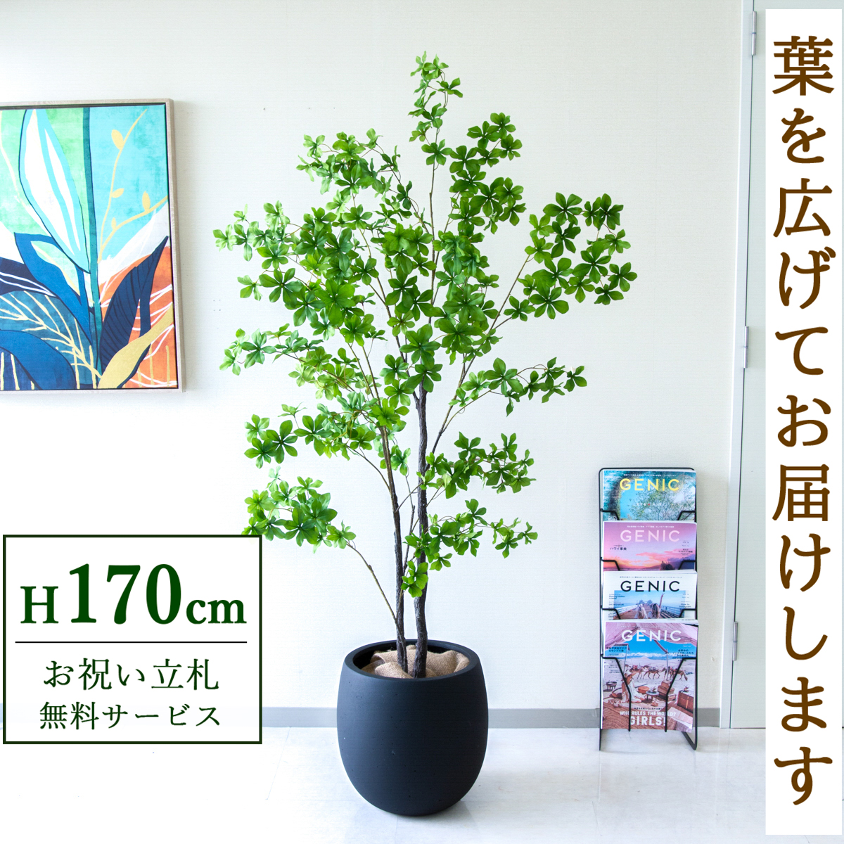 【すぐ飾れる】 フェイクグリーン ドウダンツツジ 170cm 大型 鉢付き / 法人・開店祝い 店舗・オフィス装飾 空間演出 立札無料・造花/PG158-BAL35BK