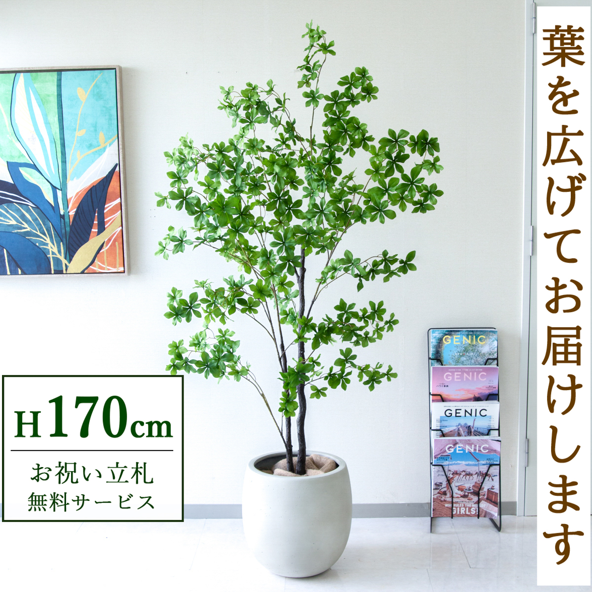 【すぐ飾れる】 フェイクグリーン ドウダンツツジ 170cm 大型 鉢付き / 法人・開店祝い 店舗・オフィス装飾 空間演出 立札無料・造花/PG158-BAL35IV