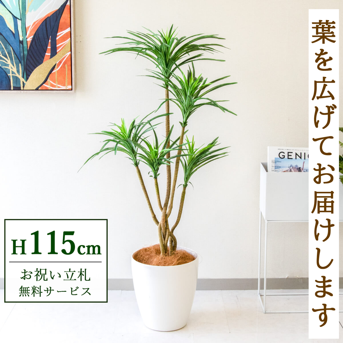 【すぐ飾れる】 フェイクグリーン ユッカ 115cm 鉢付き / 法人・開店祝い 店舗・オフィス装飾 空間演出 立札無料・造花/PG198-A265WH