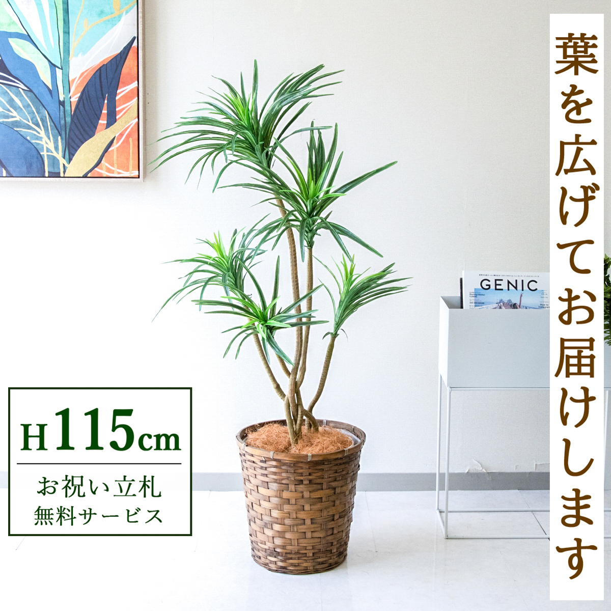 【すぐ飾れる】 フェイクグリーン ユッカ 115cm 鉢付き / 法人・開店祝い 店舗・オフィス装飾 空間演出 立札無料・造花/PG198-S28