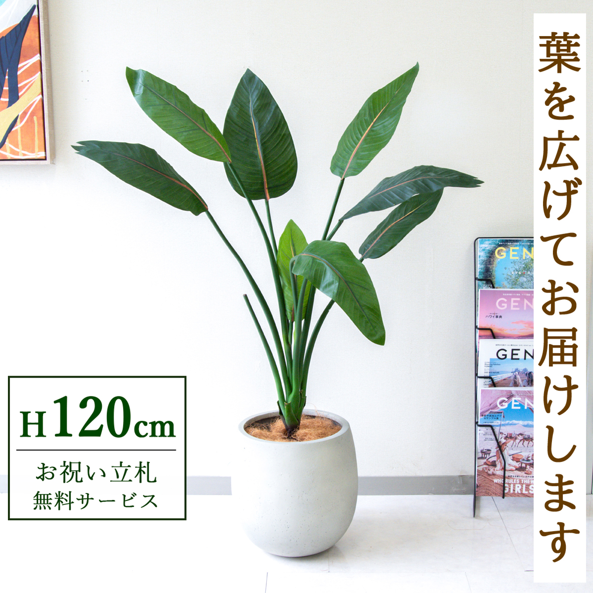 【すぐ飾れる】 フェイクグリーン ストレチア 120cm 鉢付き / 法人・開店祝い 店舗・オフィス装飾 空間演出 立札無料・造花/PG207-BAL30IV