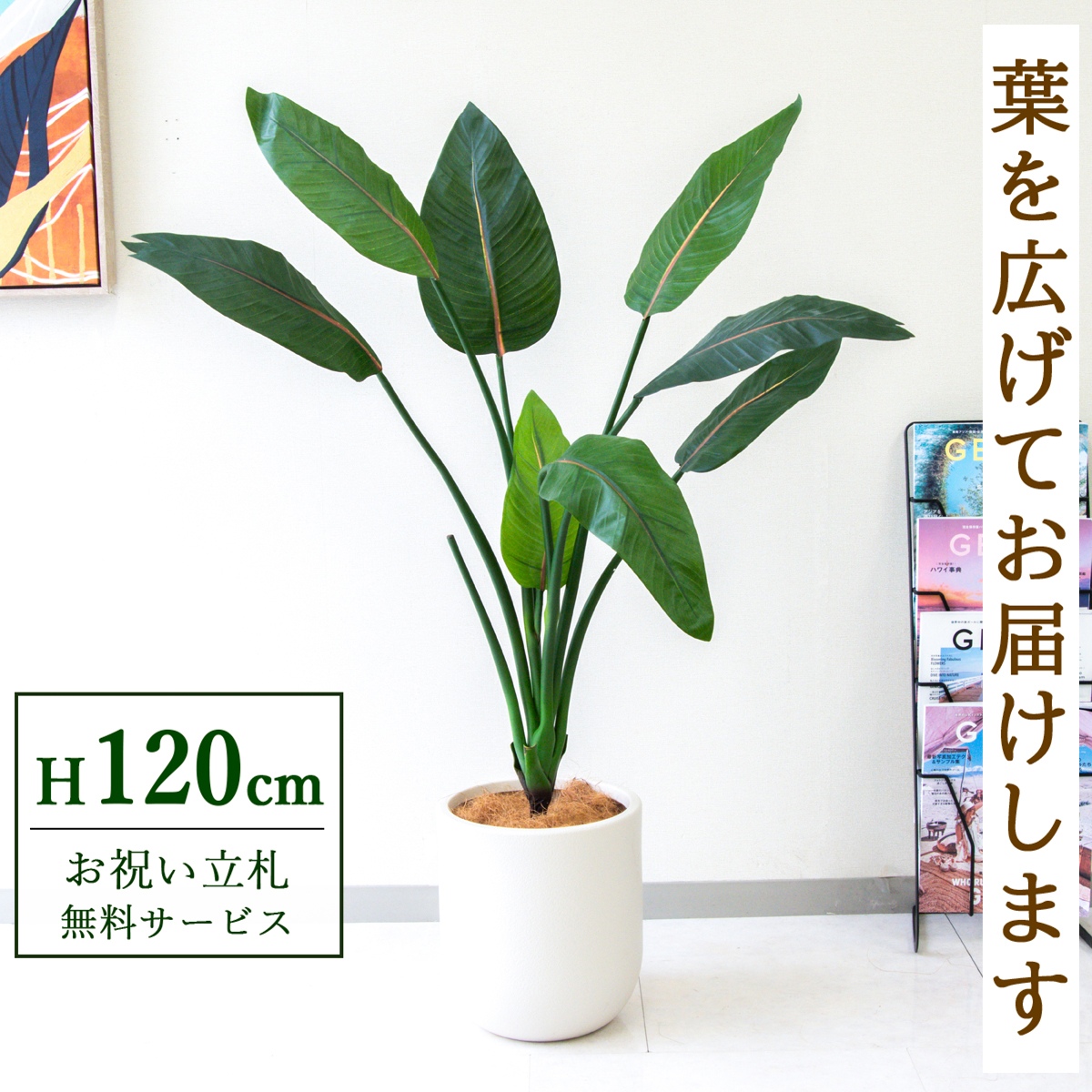 【すぐ飾れる】 フェイクグリーン ストレチア 120cm 鉢付き / 法人・開店祝い 店舗・オフィス装飾 空間演出 立札無料・造花/PG207-CHC25IV