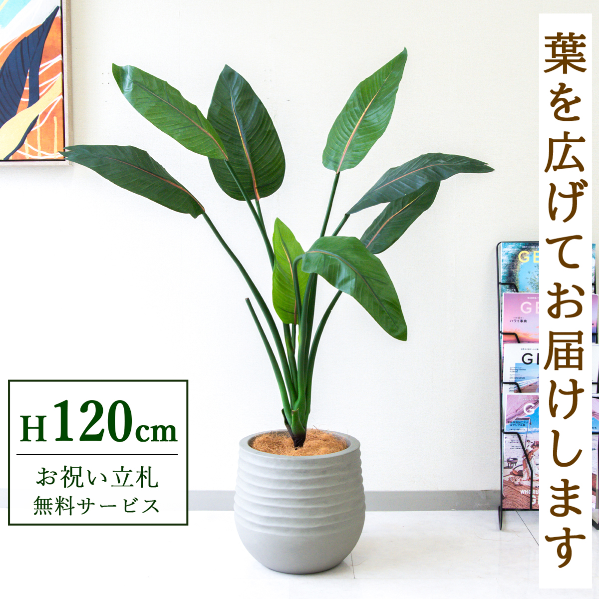 【すぐ飾れる】 フェイクグリーン ストレチア 120cm 鉢付き / 法人・開店祝い 店舗・オフィス装飾 空間演出 立札無料・造花/PG207-J30