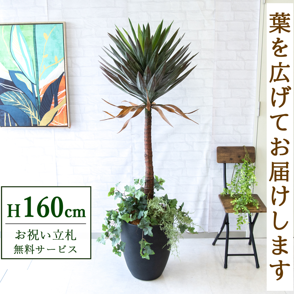 【すぐ飾れる】 フェイクグリーン ユッカアロイフィリア 160cm 鉢付き / 法人・開店祝い 店舗・オフィス装飾 空間演出 立札無料・造花/PG218-CQX35BK-UG4