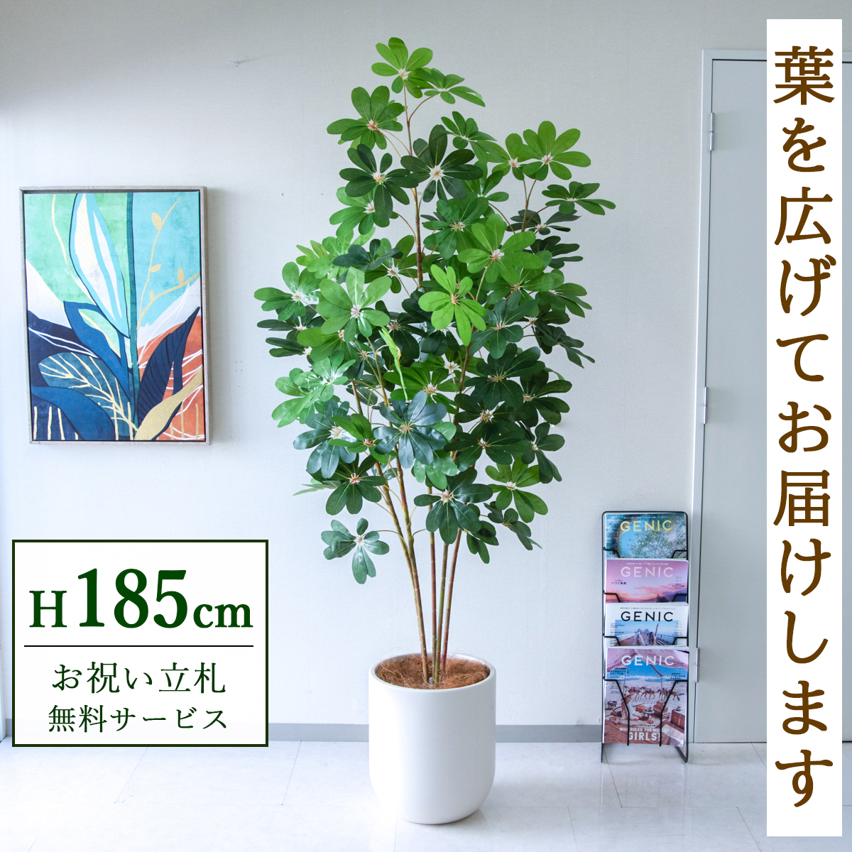 【すぐ飾れる】 フェイクグリーン シェフレラ カポック 185cm 大型 鉢付き / 法人・開店祝い 店舗・オフィス装飾 空間演出 立札無料・造花/PG228-CHC33IV
