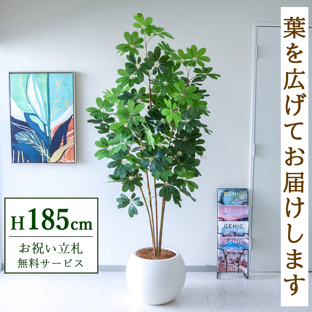 【すぐ飾れる】 フェイクグリーン シェフレラ カポック 185cm 大型 鉢付き / 法人・開店祝い 店舗・オフィス装飾 空間演出 立札無料・造花/PG228-ROM43IV