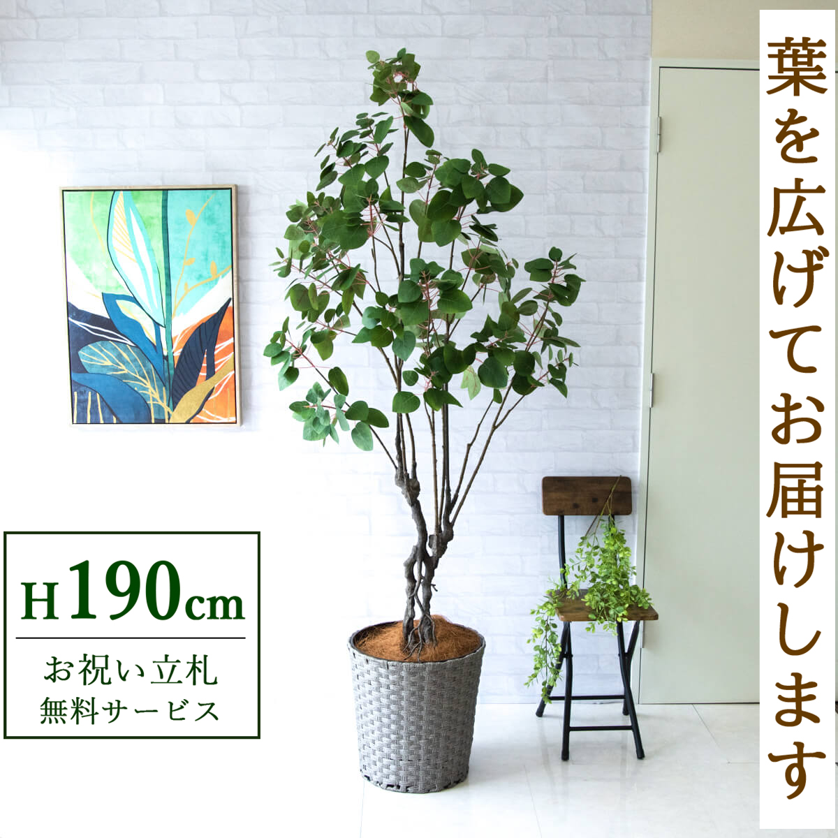 【すぐ飾れる】 フェイクグリーン スモークツリー 190cm 大型 鉢付き / 法人・開店祝い 店舗・オフィス装飾 空間演出 立札無料・造花/PG232-MEL38GY