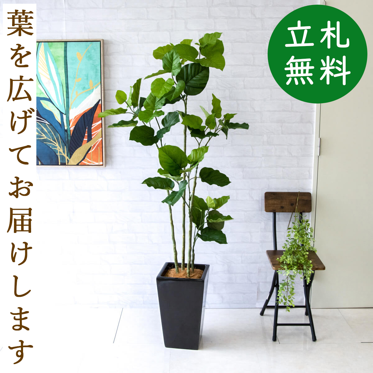 【すぐ飾れる】 フェイクグリーン フィカス ウンベラータ 165cm 鉢付き / 法人・開店祝い 店舗・オフィス装飾 空間演出 立札無料・造花/PG237-LGK25BK
