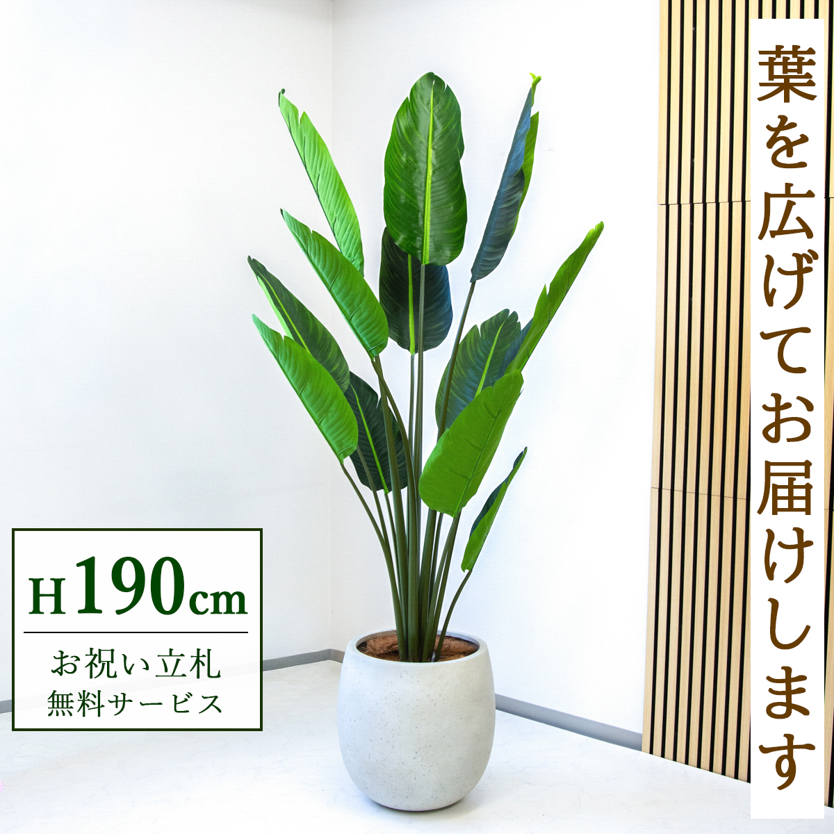 【すぐ飾れる】 フェイクグリーン オーガスタ 190cm 大型 鉢付き / 法人・開店祝い 店舗・オフィス装飾 空間演出 立札無料・造花/PG238-BAL42IV