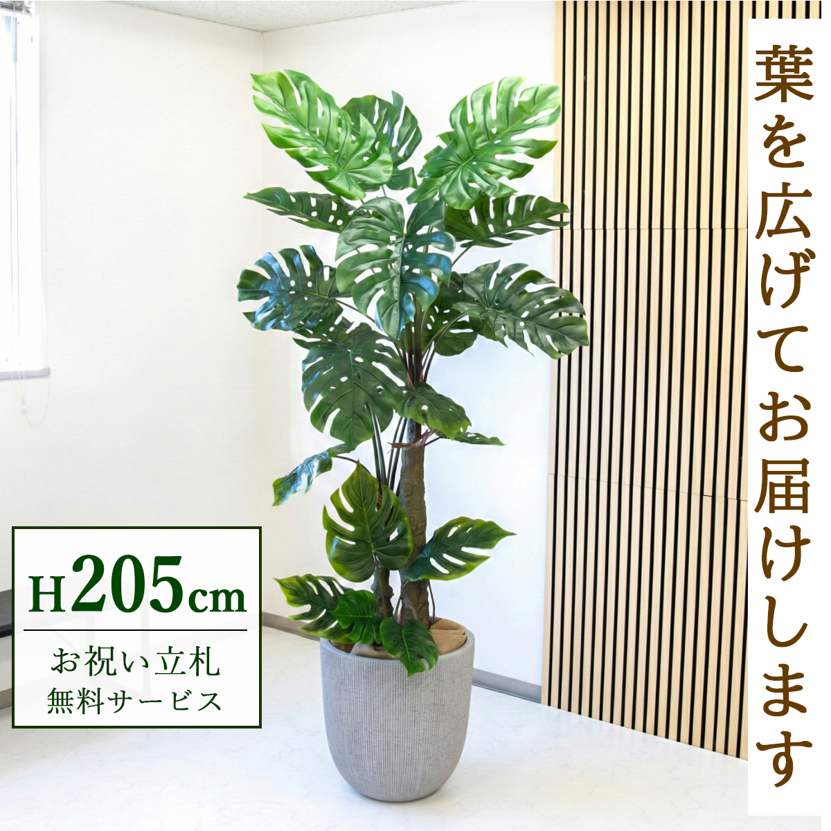 【すぐ飾れる】 フェイクグリーン モンステラ 205cm 大型 2分割 鉢付き / 法人・開店祝い 店舗・オフィス装飾 空間演出 立札無料・造花/PG239-FRA44WH