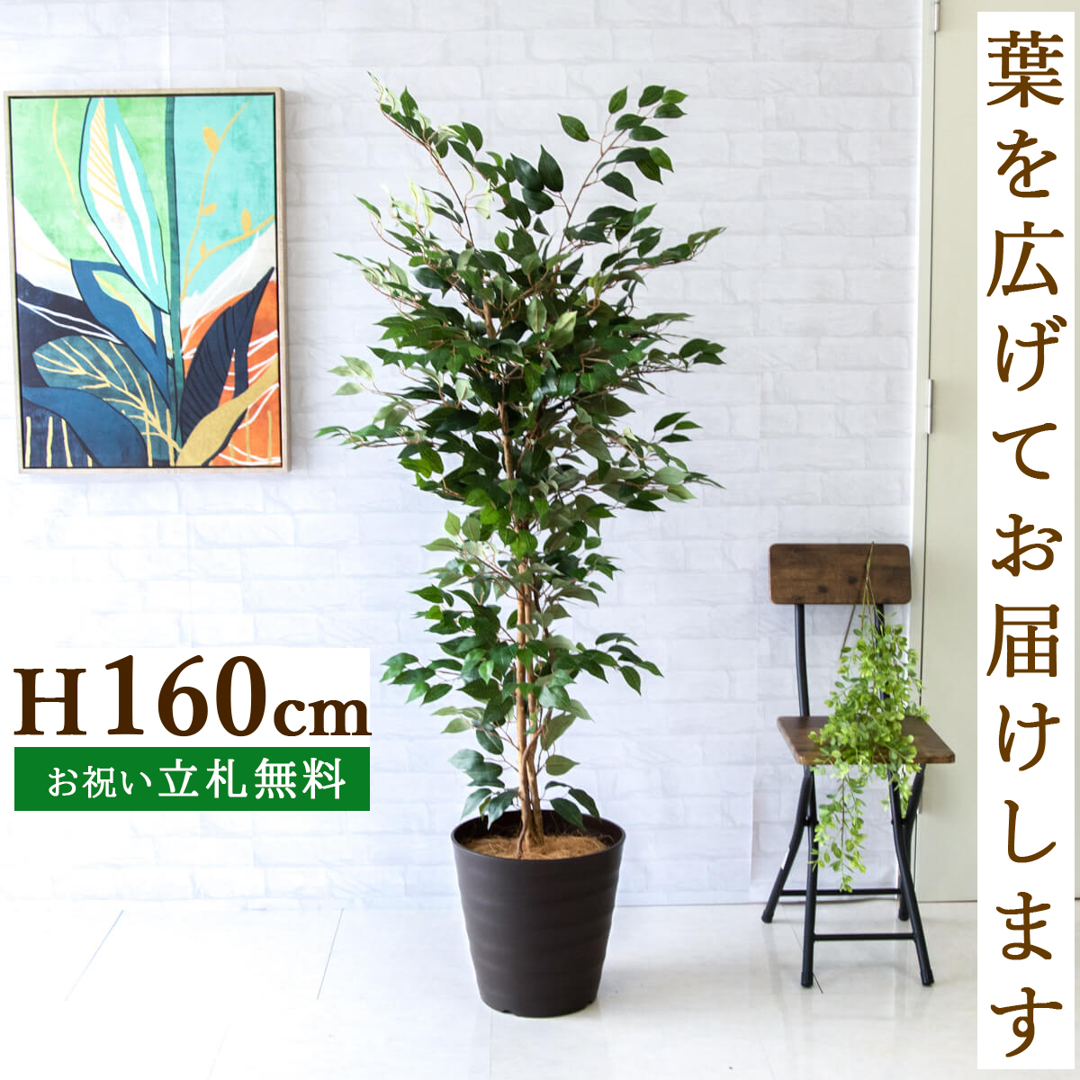 人工 観葉植物 フェイク グリーン ベンジャミン H約160cm 店舗 装飾 開店 開業 移転 祝い ギフト プレゼント 住宅展示場 モデルハウス オフィス [お祝い立札無料]【PG245-M30DB ベンジャミン H約160cm/ポリプロピレン鉢 】