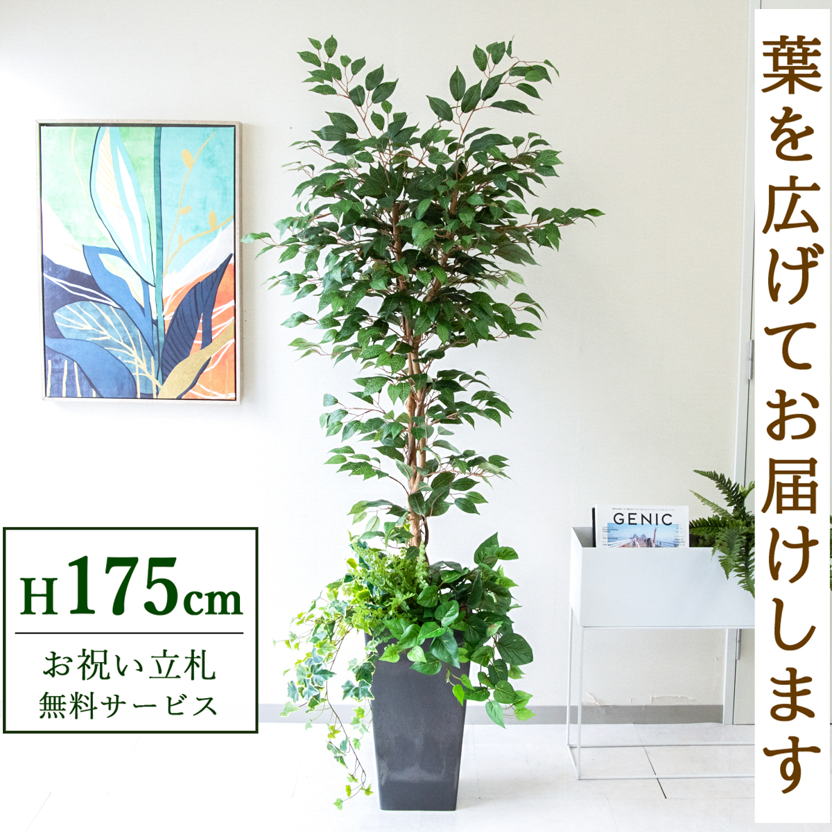 【すぐ飾れる】 フェイクグリーン フィカス ベンジャミン 175cm 大型 鉢付き / 法人・開店祝い 店舗・オフィス装飾 空間演出 立札無料・造花/PG245-Q25BK-UG1
