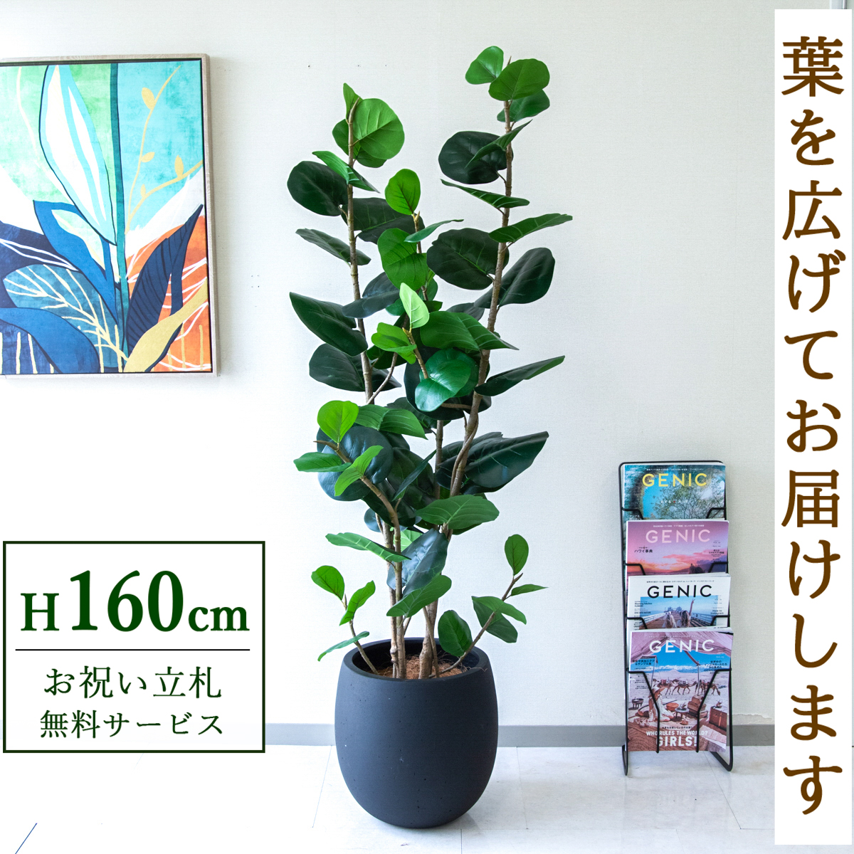 【すぐ飾れる】 フェイクグリーン シーグレープ 160cm  鉢付き / 法人・開店祝い 店舗・オフィス装飾 空間演出 立札無料・造花/PG253-BAL35BK