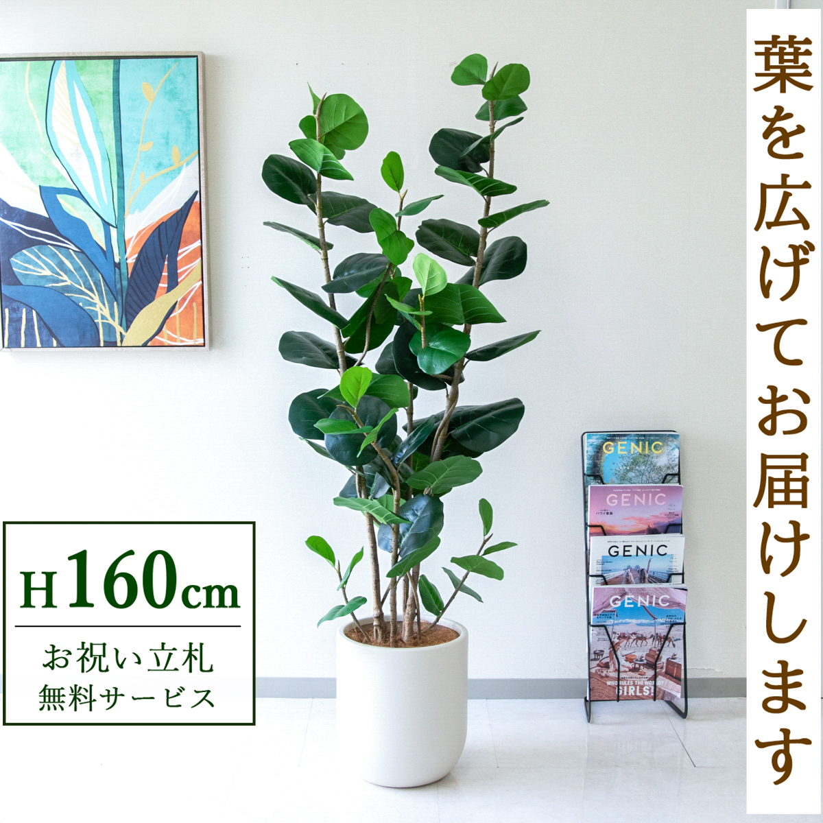 【すぐ飾れる】 フェイクグリーン シーグレープ 160cm  鉢付き / 法人・開店祝い 店舗・オフィス装飾 空間演出 立札無料・造花/PG253-CHC29IV