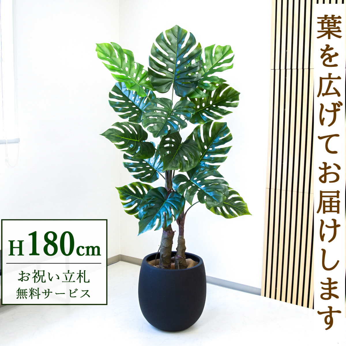 【すぐ飾れる】 フェイクグリーン モンステラ 180cm  大型 鉢付き / 法人・開店祝い 店舗・オフィス装飾 空間演出 立札無料・造花/PG259-BAL42BK
