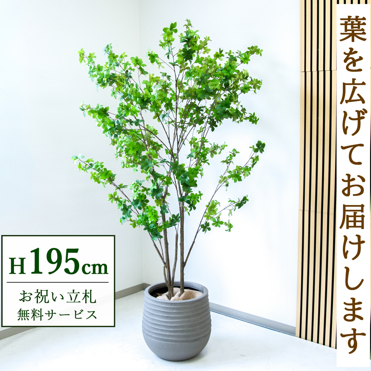【すぐ飾れる】 フェイクグリーン ドウダンツツジ 195cm  大型 鉢付き / 法人・開店祝い 店舗・オフィス装飾 空間演出 立札無料・造花/PG261-J40
