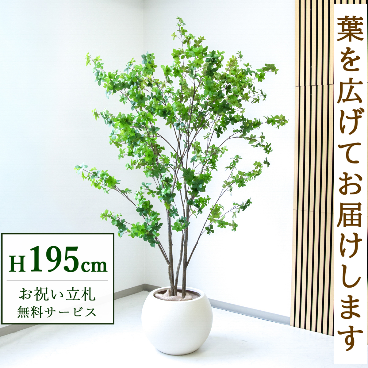 【すぐ飾れる】 フェイクグリーン ドウダンツツジ 195cm  大型 鉢付き / 法人・開店祝い 店舗・オフィス装飾 空間演出 立札無料・造花/PG261-ROM43IV