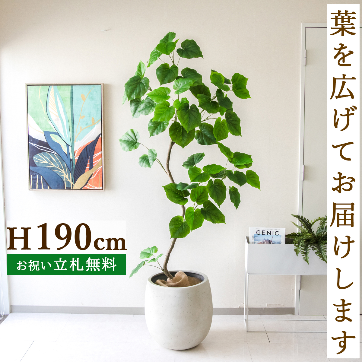 フェイクグリーン ウンベラータ H約190cm  鉢付き / 人工観葉植物 観葉植物 フェイク 造花 大型 大きい 店舗 装飾 開店 開業 移転 祝い ギフト プレゼント おしゃれ 住宅展示場 モデルハウス オフィス 立札無料 PG262-BAL42IV