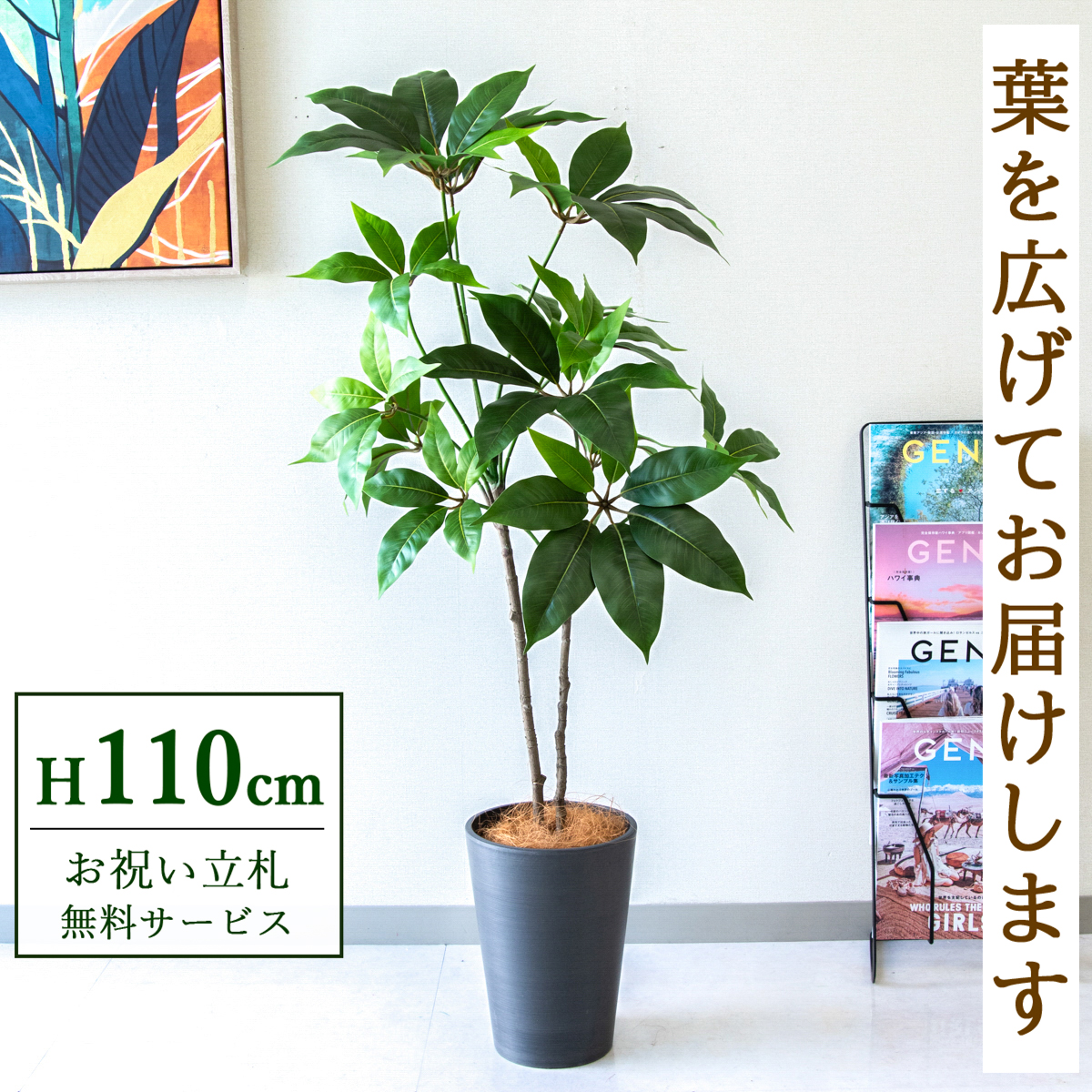 【すぐ飾れる】 フェイクグリーン ツピタンサス 110cm  鉢付き / 法人・開店祝い 店舗・オフィス装飾 空間演出 立札無料・造花/PG267-X20BK