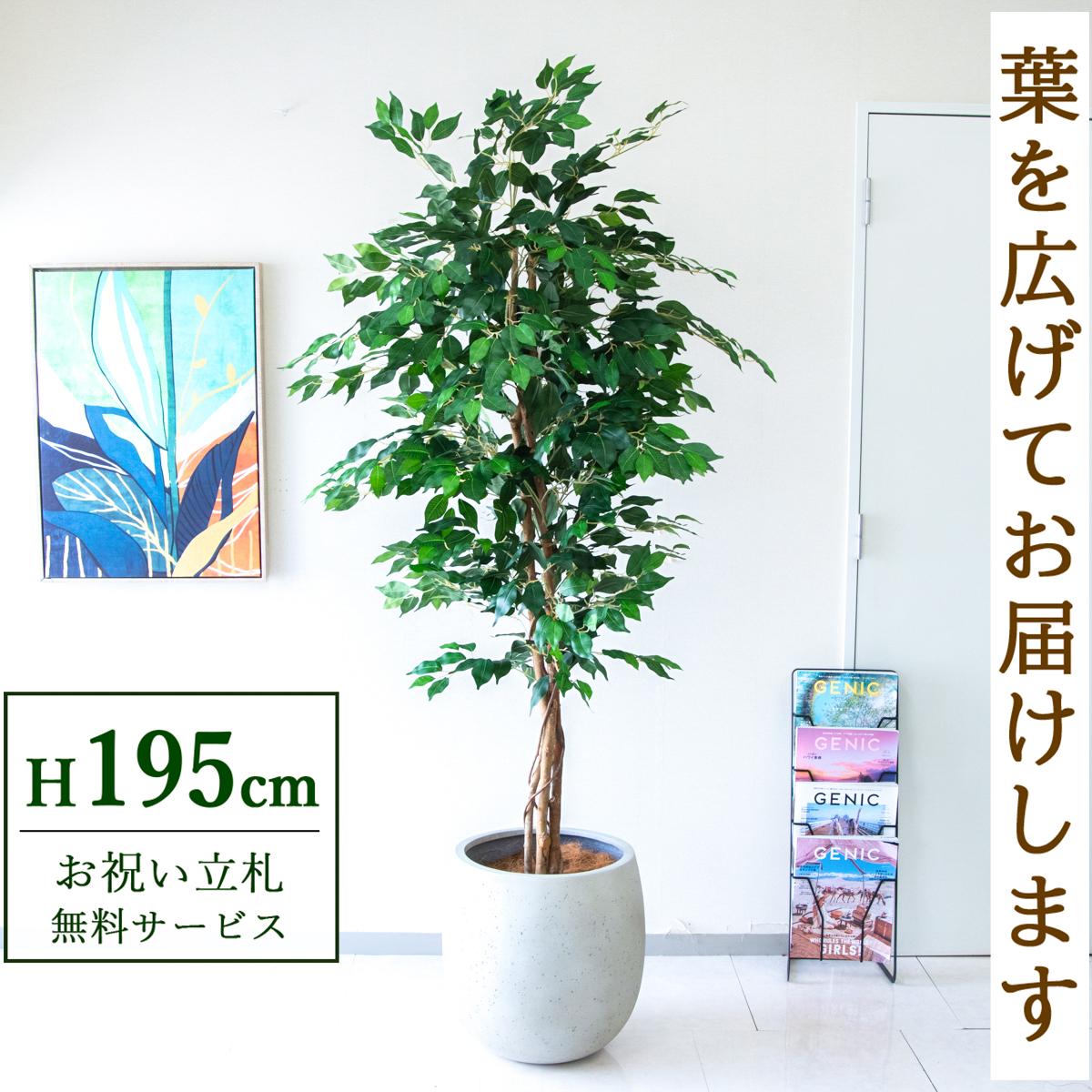 【すぐ飾れる】 フェイクグリーン フィカス ベンジャミン 195cm  大型 鉢付き / 法人・開店祝い 店舗・オフィス装飾 空間演出 立札無料・造花/PG278-BAL42IV