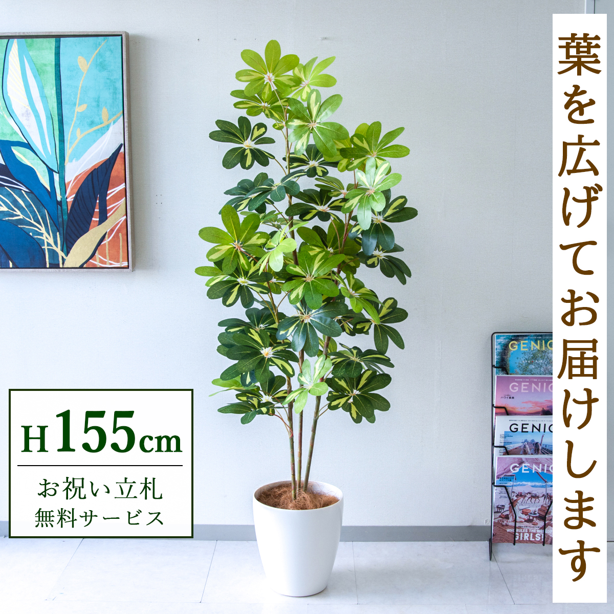 【すぐ飾れる】 フェイクグリーン シェフレラ カポック 155cm  鉢付き / 法人・開店祝い 店舗・オフィス装飾 空間演出 立札無料・造花/PG282-A265WH