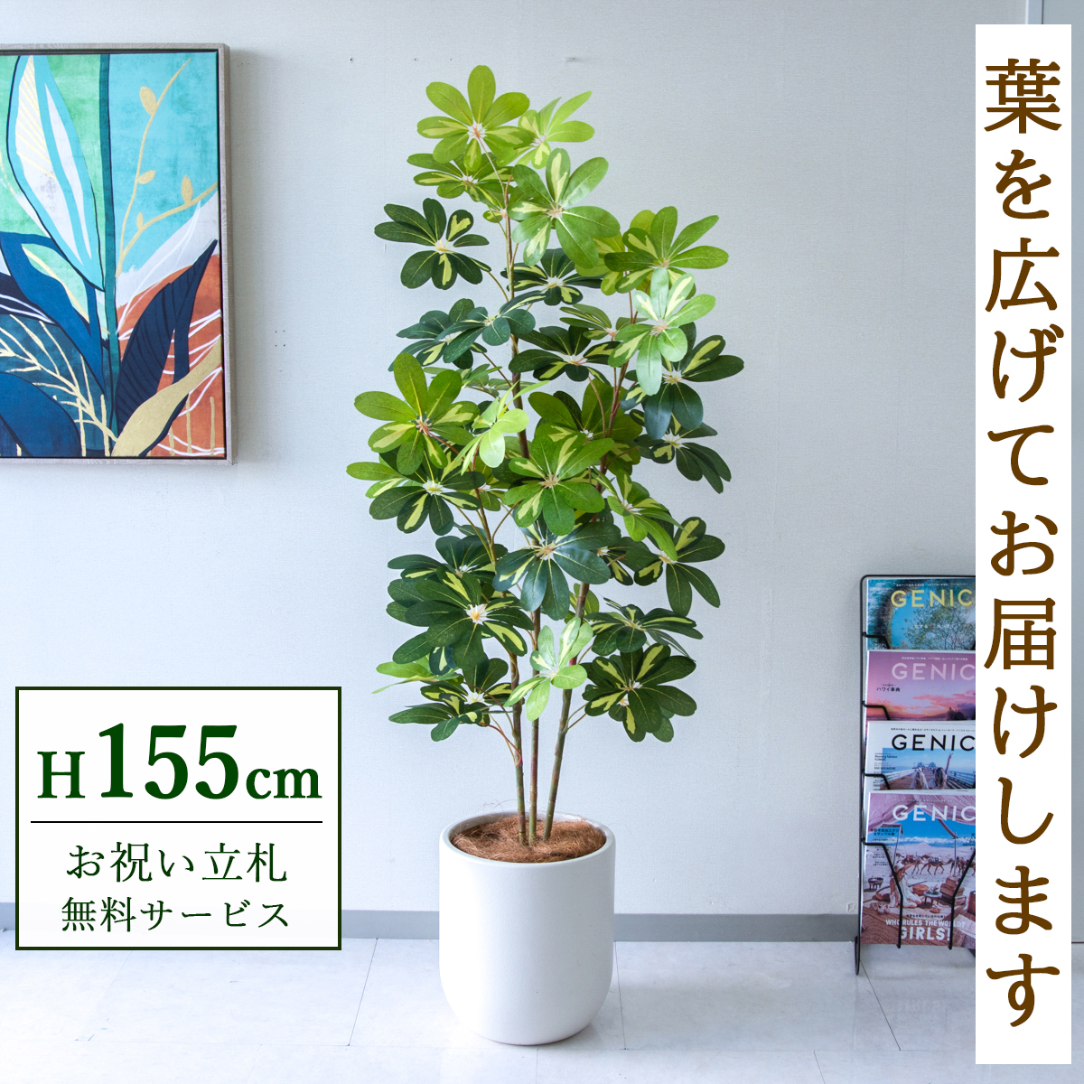 【すぐ飾れる】 フェイクグリーン シェフレラ カポック 155cm  鉢付き / 法人・開店祝い 店舗・オフィス装飾 空間演出 立札無料・造花/PG282-CHC29IV