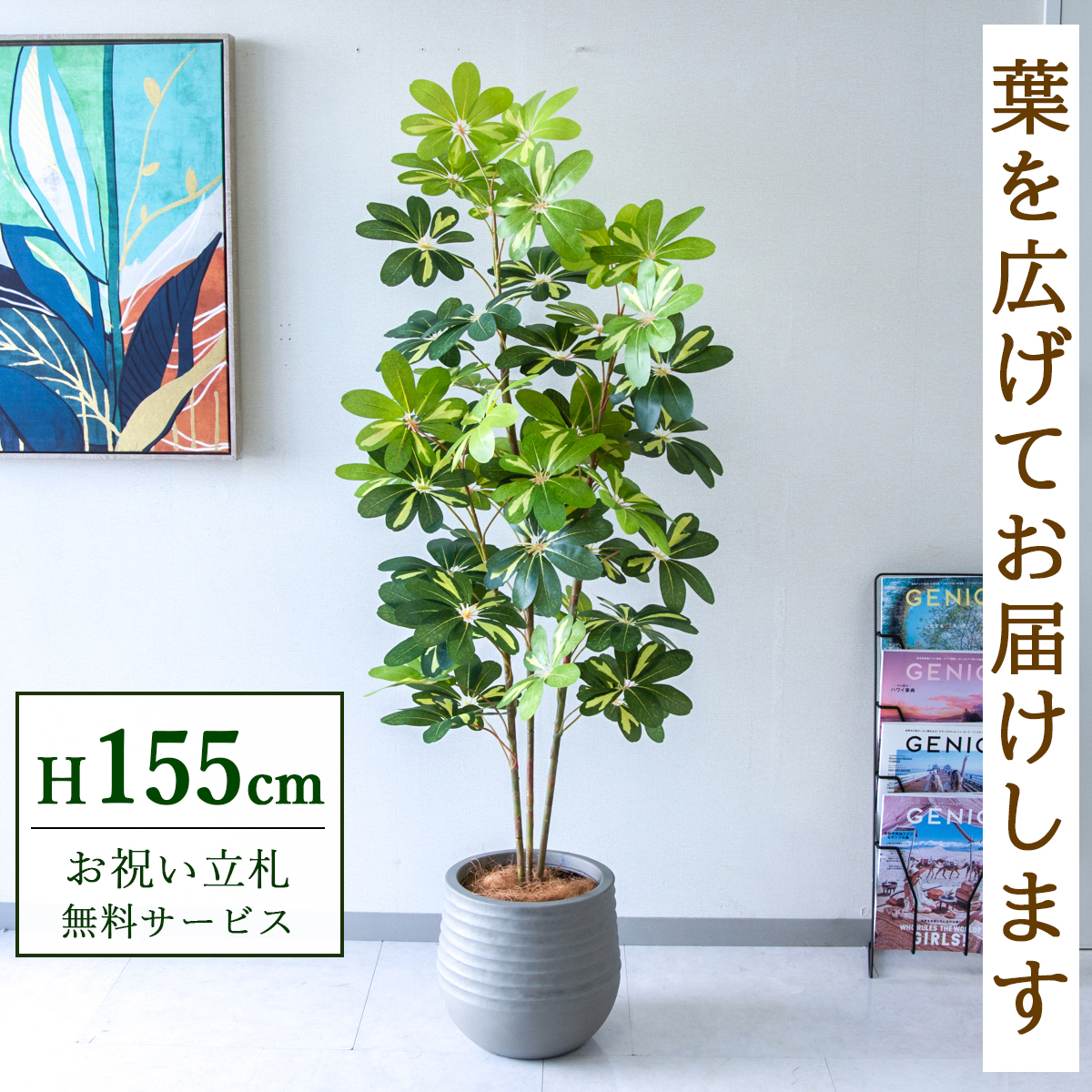 【すぐ飾れる】 フェイクグリーン シェフレラ カポック 155cm  鉢付き / 法人・開店祝い 店舗・オフィス装飾 空間演出 立札無料・造花/PG282-J30