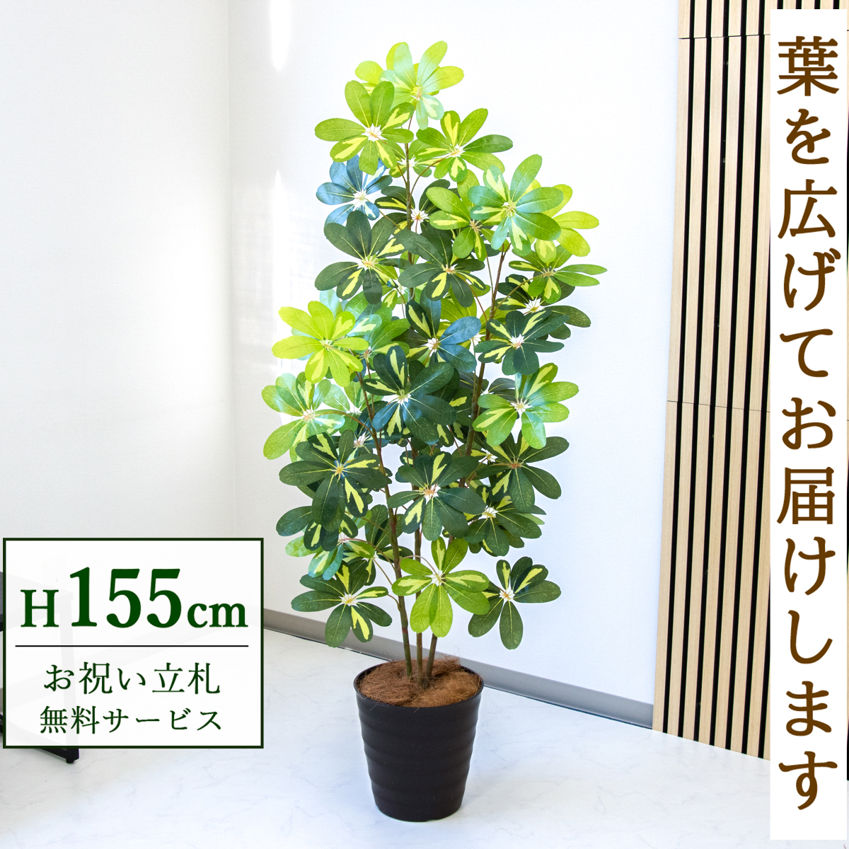 【すぐ飾れる】 フェイクグリーン シェフレラ カポック 155cm  鉢付き / 法人・開店祝い 店舗・オフィス装飾 空間演出 立札無料・造花/PG282-M27DB