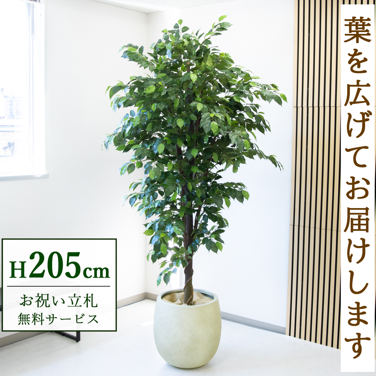 【すぐ飾れる】 フェイクグリーン フィカス ベンジャミン 205cm  大型 鉢付き / 法人・開店祝い 店舗・オフィス装飾 空間演出 立札無料・造花/PG285-BAL42IV