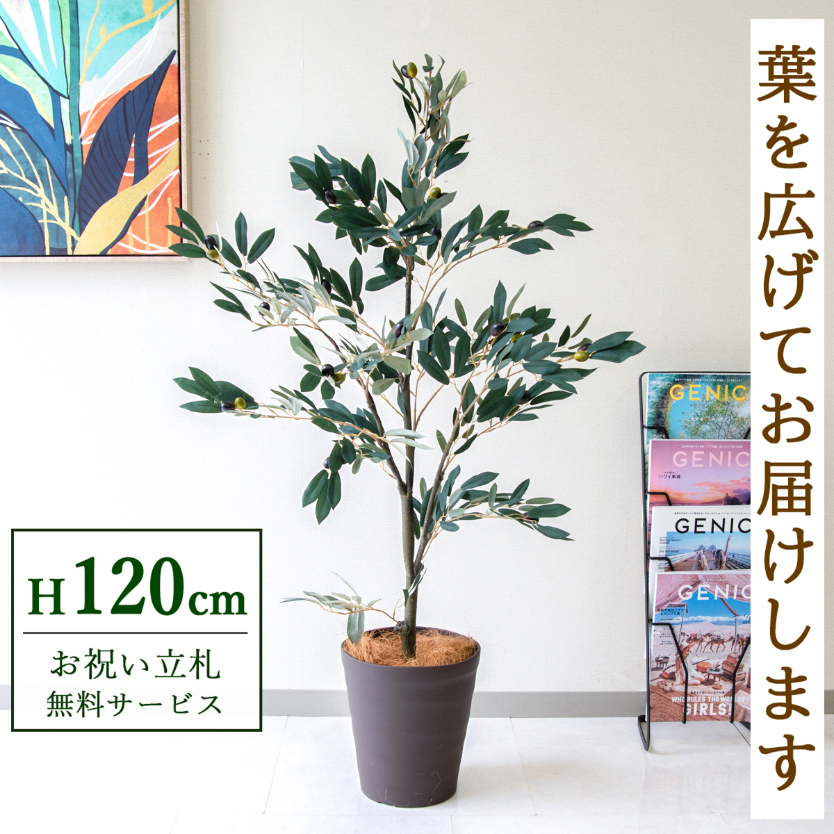 【すぐ飾れる】 フェイクグリーン オリーブ 120cm 鉢付き / 法人・開店祝い 店舗・オフィス装飾 空間演出 立札無料・造花/PG289-B240BR
