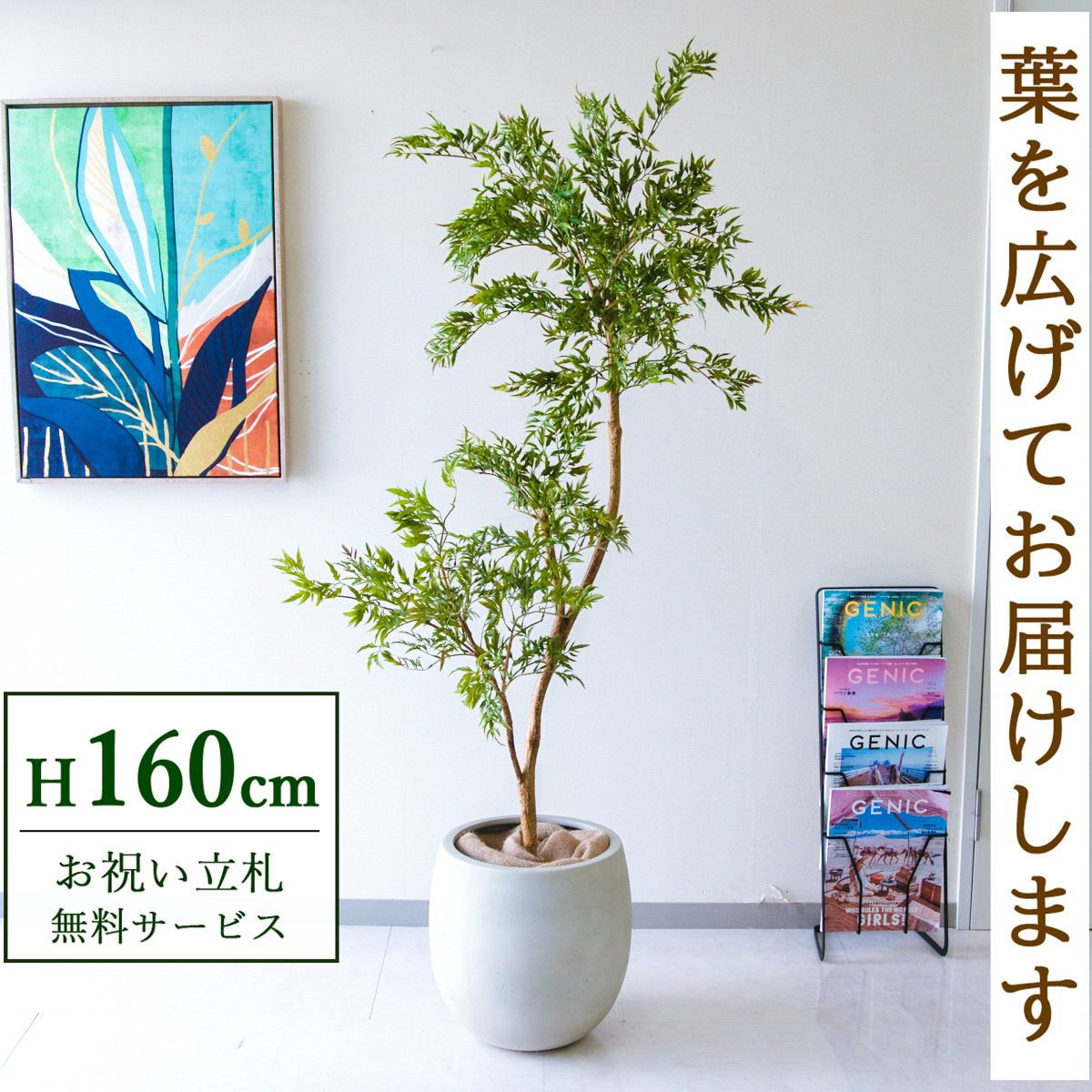 【すぐ飾れる】 フェイクグリーン ポリシャス 160cm  鉢付き / 法人・開店祝い 店舗・オフィス装飾 空間演出 立札無料・造花/PG292-BAL35IV