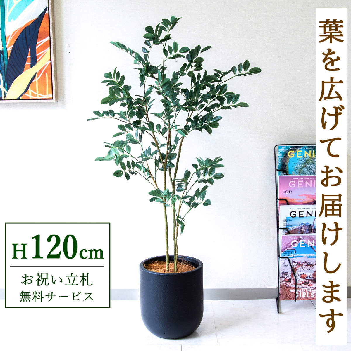 【すぐ飾れる】 フェイクグリーン フィカス ベンジャミン 120cm  鉢付き / 法人・開店祝い 店舗・オフィス装飾 空間演出 立札無料・造花/PG299-CHC25BK