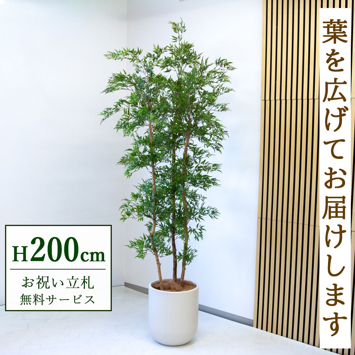 【すぐ飾れる】 フェイクグリーン タイワンモミジ 200cm  大型 鉢付き / 法人・開店祝い 店舗・オフィス装飾 空間演出 立札無料・造花/PG300-CHC33IV