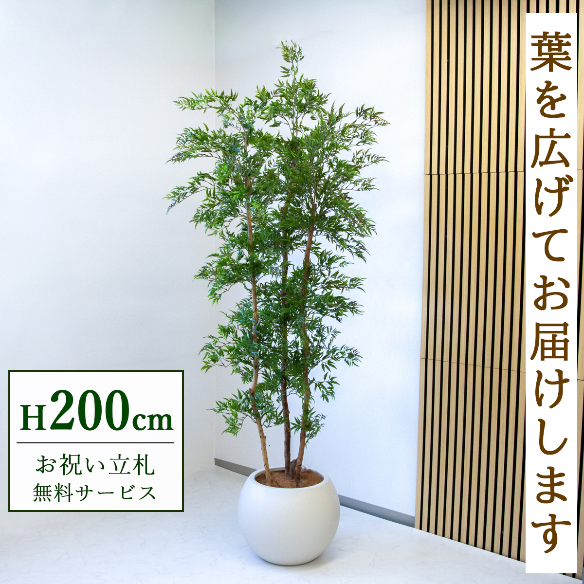【すぐ飾れる】 フェイクグリーン タイワンモミジ 200cm  大型 鉢付き / 法人・開店祝い 店舗・オフィス装飾 空間演出 立札無料・造花/PG300-ROM43IV
