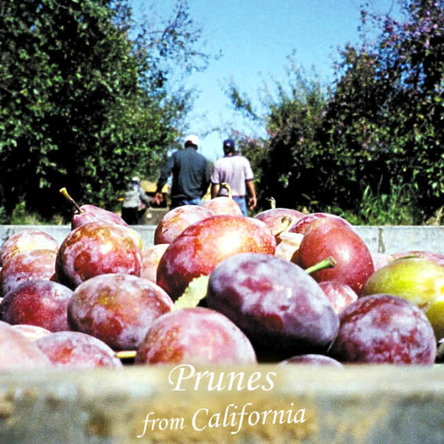 カリフォルニア産プルーン プルーン 190g | セブンプレミアム公式