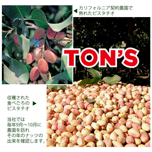 ピスタチオ　TON'S専用