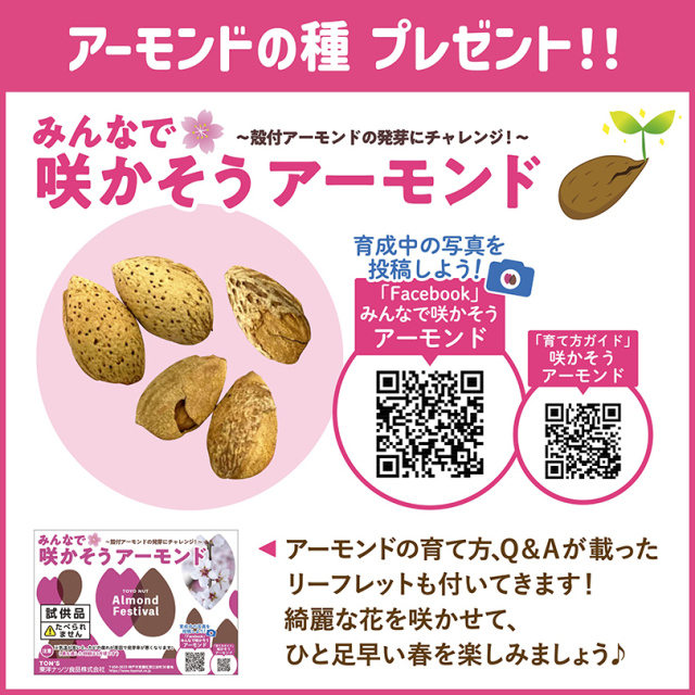 さかなっつハイ40周年
