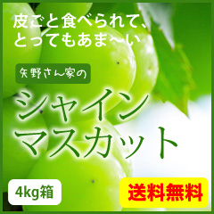 ぶどう しゃいんますかっと シャインマスカット 農家直送 おすそ分け品