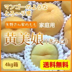 もも 桃 黄美娘 きみこ 黄金桃 農家直送 おすそ分け品 山梨県産 贈答品