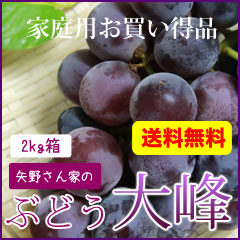 訳あり わけ待ち 山梨県産 ぶどう 大峰 藤稔 家庭用 お買い得品 農家