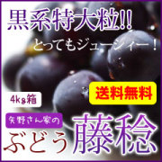 ぶどう
