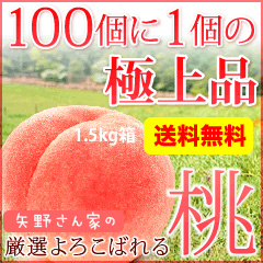 全国送料無料 厳選 よろこばれる桃3～4個入り　(1.5kg箱)