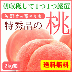 全国送料無料 特秀品の桃　6～8個前後入り(2kg箱)