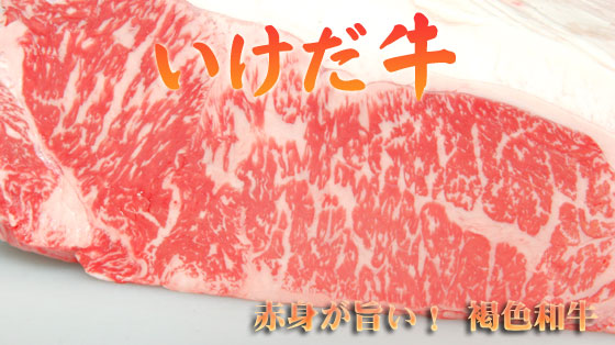 褐毛和牛　いけだ牛　サーロイン200g　2枚　