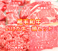 褐毛和牛　いけだあか牛一頭セット　
