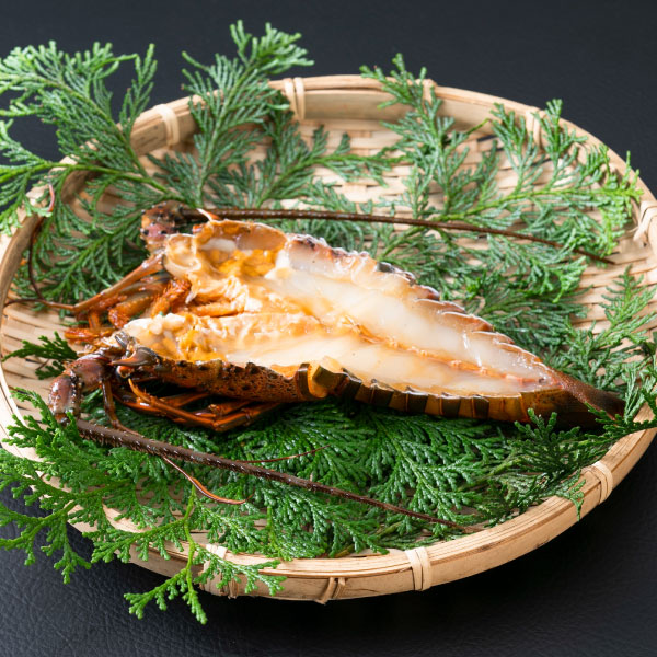伊勢海老ひもの（甘しょうゆ味）
