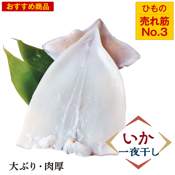 いか塩一夜干し＜ゲソなし＞(１枚)