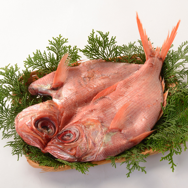 伊豆近海産 金目鯛ひもの 特大 水揚げ時約800g