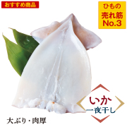 いか塩一夜干し＜ゲソなし＞(１枚)